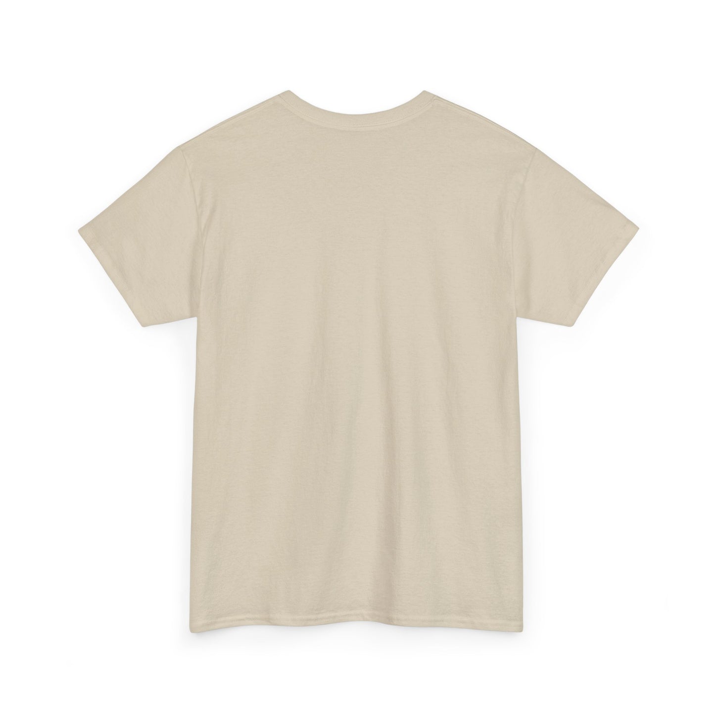 Remember Your Healing— Minimal Inspirational Tee