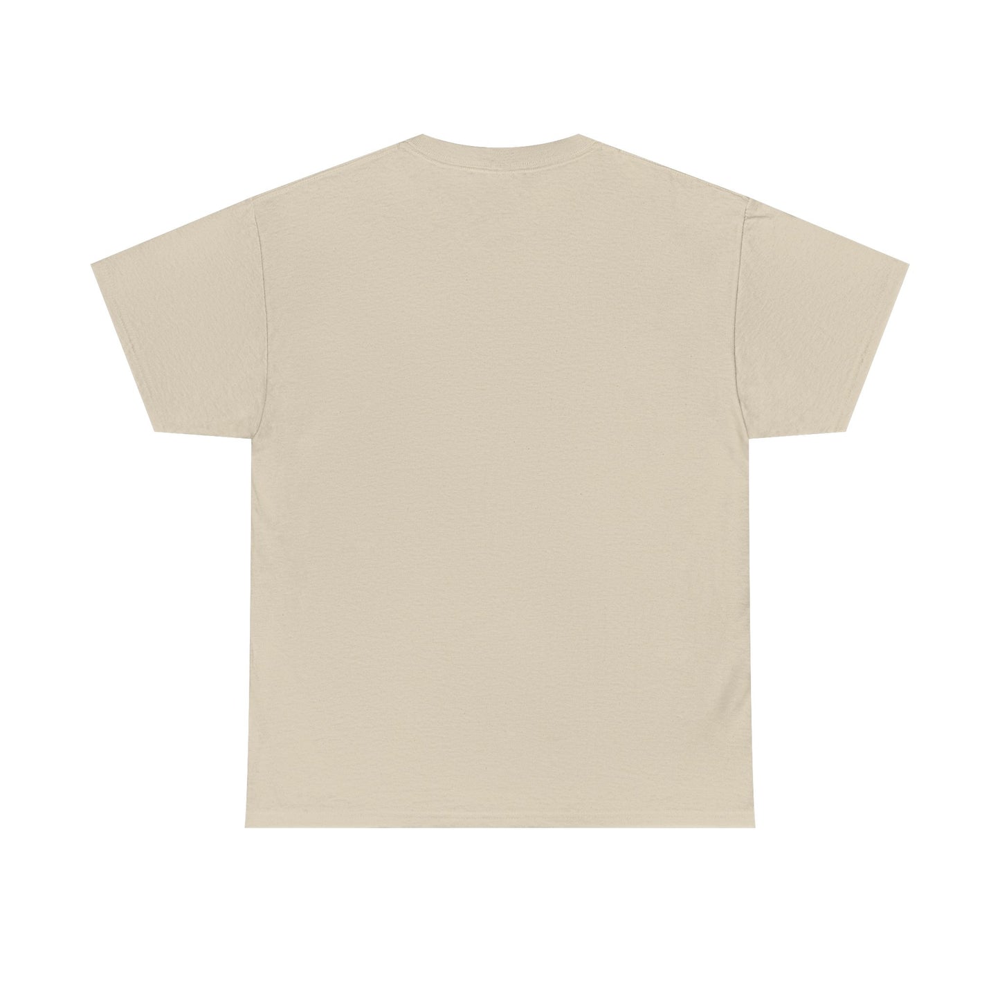 Remember Your Healing— Minimal Inspirational Tee